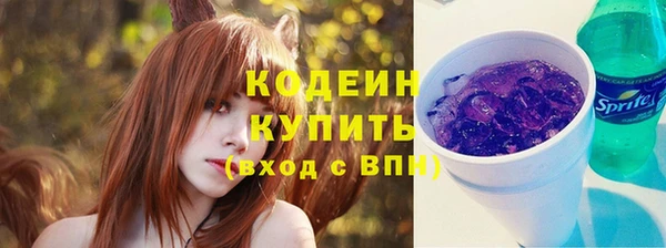 соль ск Бородино